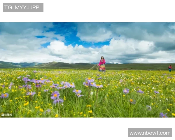 专注收藏足球球星卡的博主分享最全收藏经验与市场动态